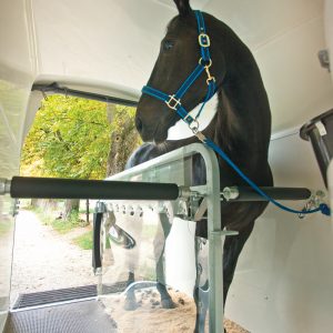 zephir_innen_mit_pferd